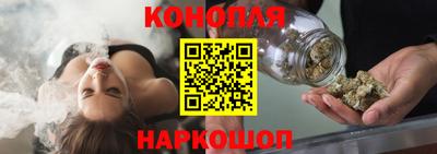 стаф Гай