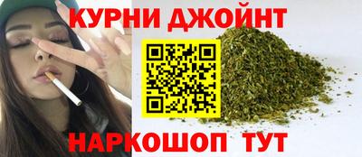 стаф Гай
