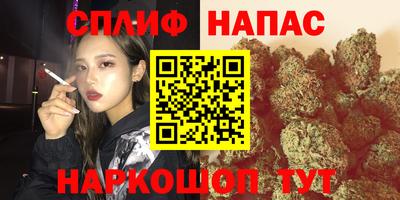 хмурый Гатчина