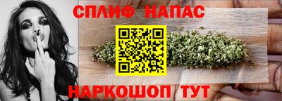 хмурый Гатчина