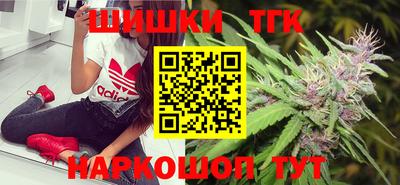 стаф Гай